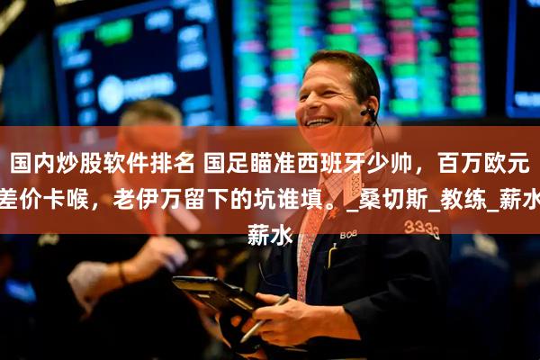 国内炒股软件排名 国足瞄准西班牙少帅，百万欧元差价卡喉，老伊万留下的坑谁填。_桑切斯_教练_薪水