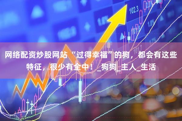 网络配资炒股网站 “过得幸福”的狗，都会有这些特征，很少有全中！_狗狗_主人_生活