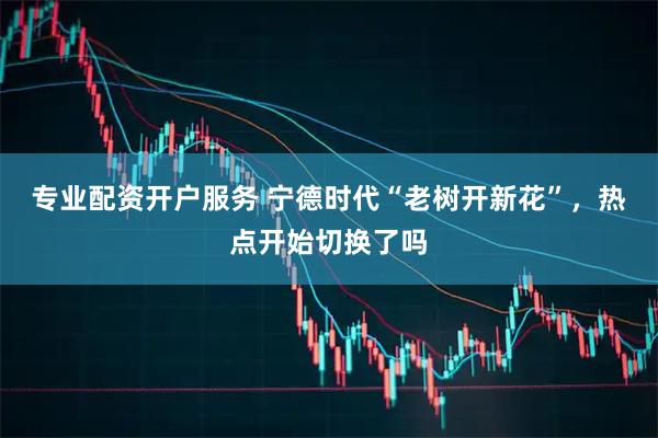 专业配资开户服务 宁德时代“老树开新花”，热点开始切换了吗